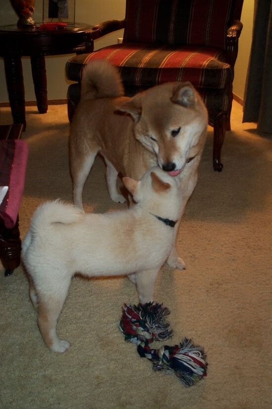 曼联边后卫助攻频繁拉开宽度，曼联史上十大最强边后卫