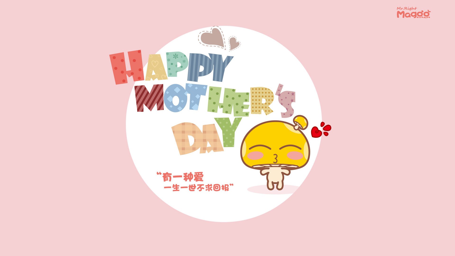 “南非羚羊队的辉煌复兴:萨尔·巴赫的带领下”