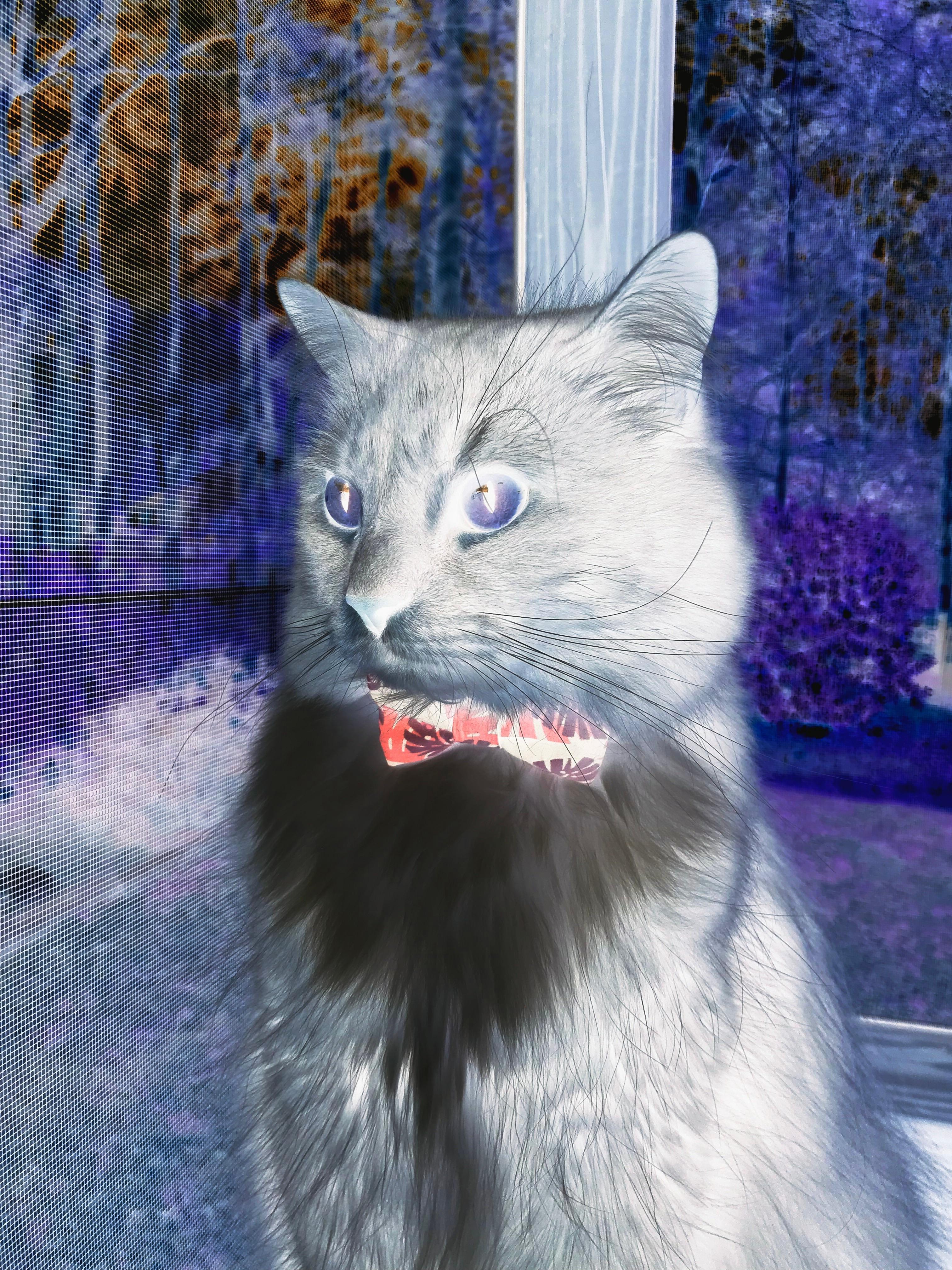 乒乓球世界杯决赛精彩落幕,中国队再创辉煌,乒乓球世界杯决赛精彩落幕,中国队再创辉煌